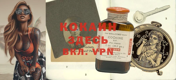 PSILOCYBIN Горно-Алтайск