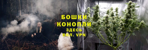 PSILOCYBIN Горно-Алтайск